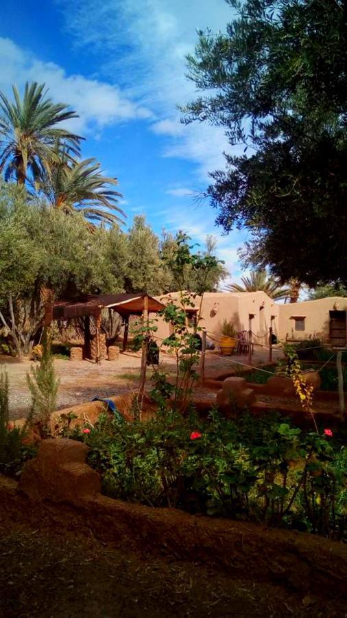 Hotel Eco-Ferme Tamalait Skoura Exteriér fotografie