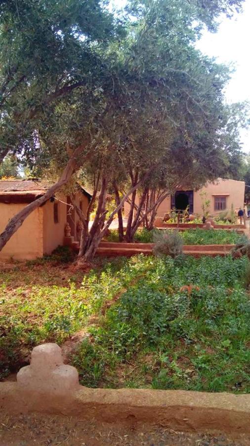 Hotel Eco-Ferme Tamalait Skoura Exteriér fotografie